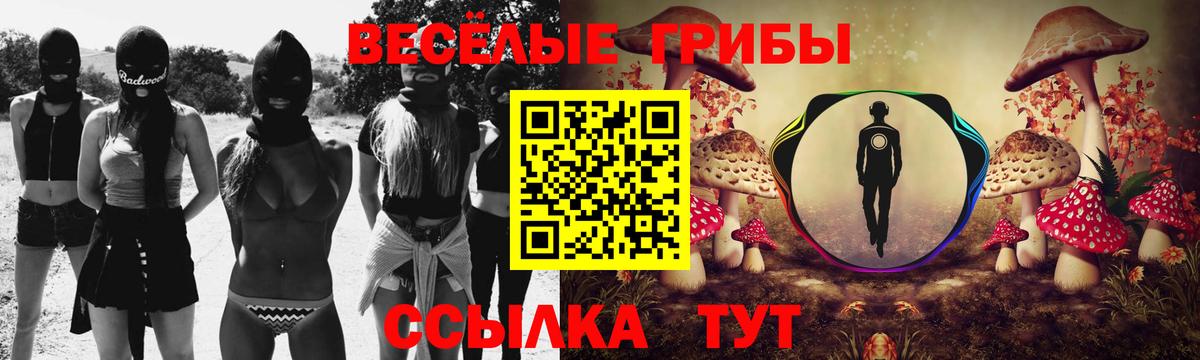 Псилоцибиновые грибы Psilocybe Мелеуз